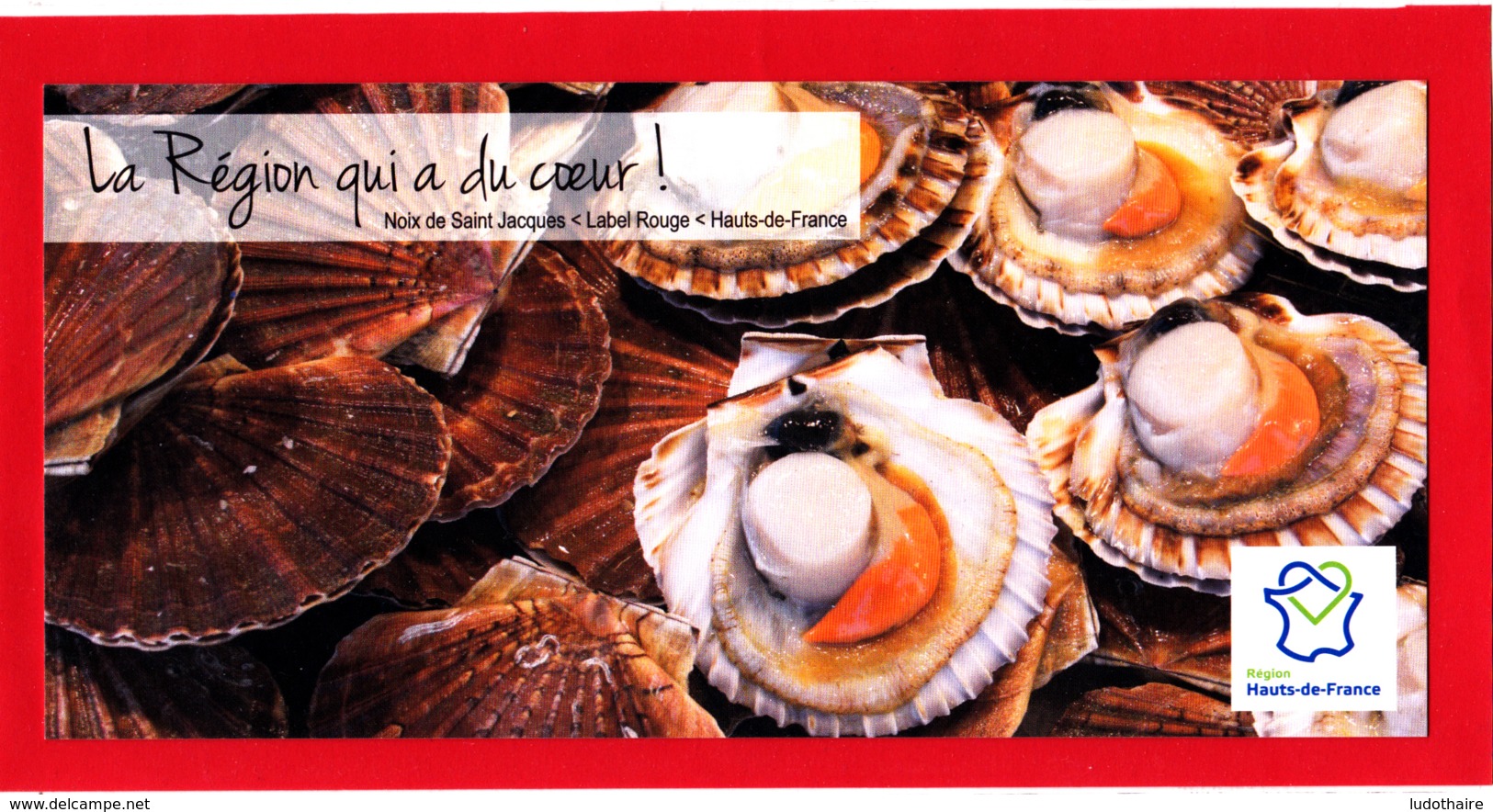 CP Recette, Noix De Saint-Jacques Aux Endives, Label Rouge, Hauts-de-France - Recettes (cuisine)