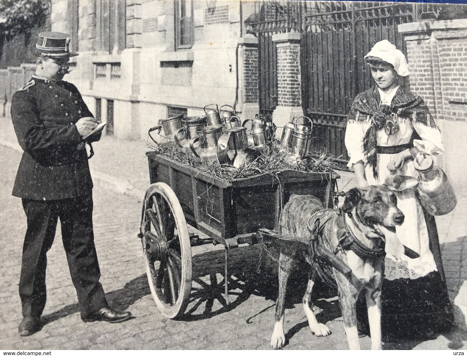 "Une Contravention Pour Laitière Flamande Et Son Attelage De Chien "(2152) - Artisanat