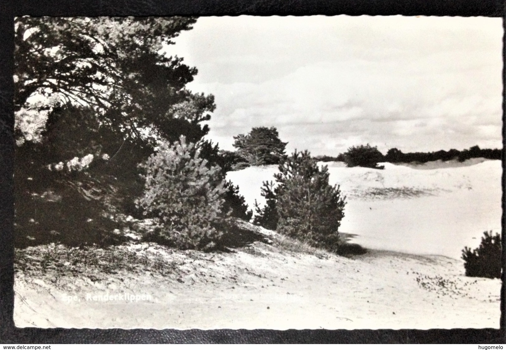 Netherlands, Circulated Postcard,  "Nature", "Landscapes", "Epe", 1964 - Epe