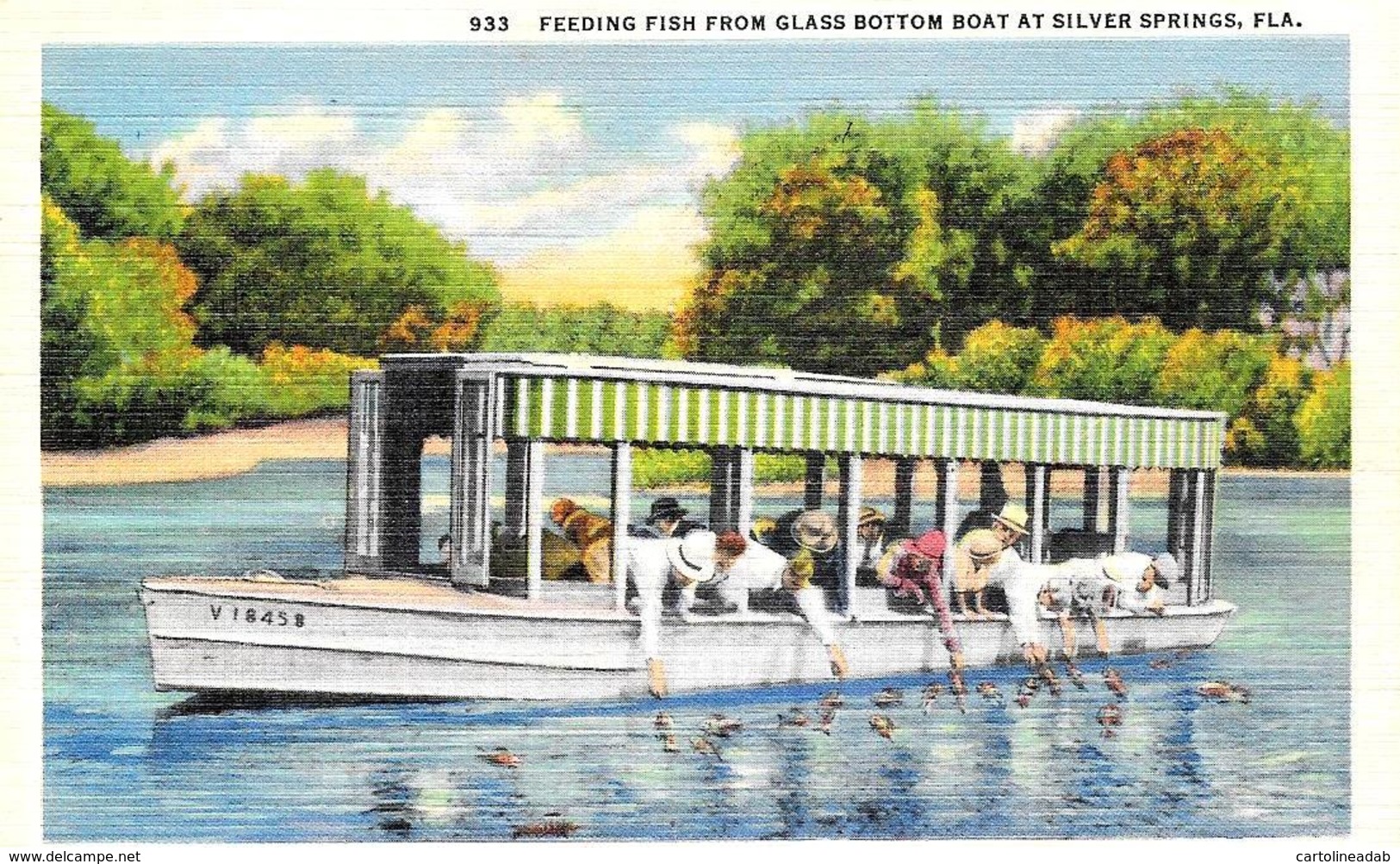 [DC12139] CPA - UNITED STATES - FLORIDA - SILVER SPRINGS - FEEDING FISH GLASS BOTTOM BOAT - PERFETTA - Non Viaggiata - Silver Springs