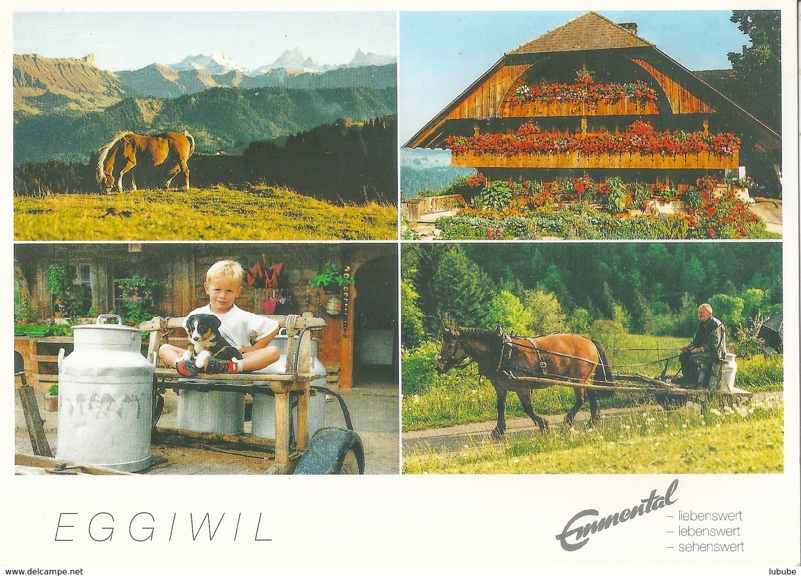 Eggiwil - 4 Bilder (u.a. Haflinger Auf Rämisgummen)         Ca. 1990 - Eggiwil