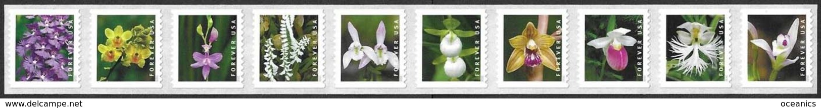 Etats-Unis / United States (Scott No.5444a - Wild Orchids) [**] Coil Strip - Neufs