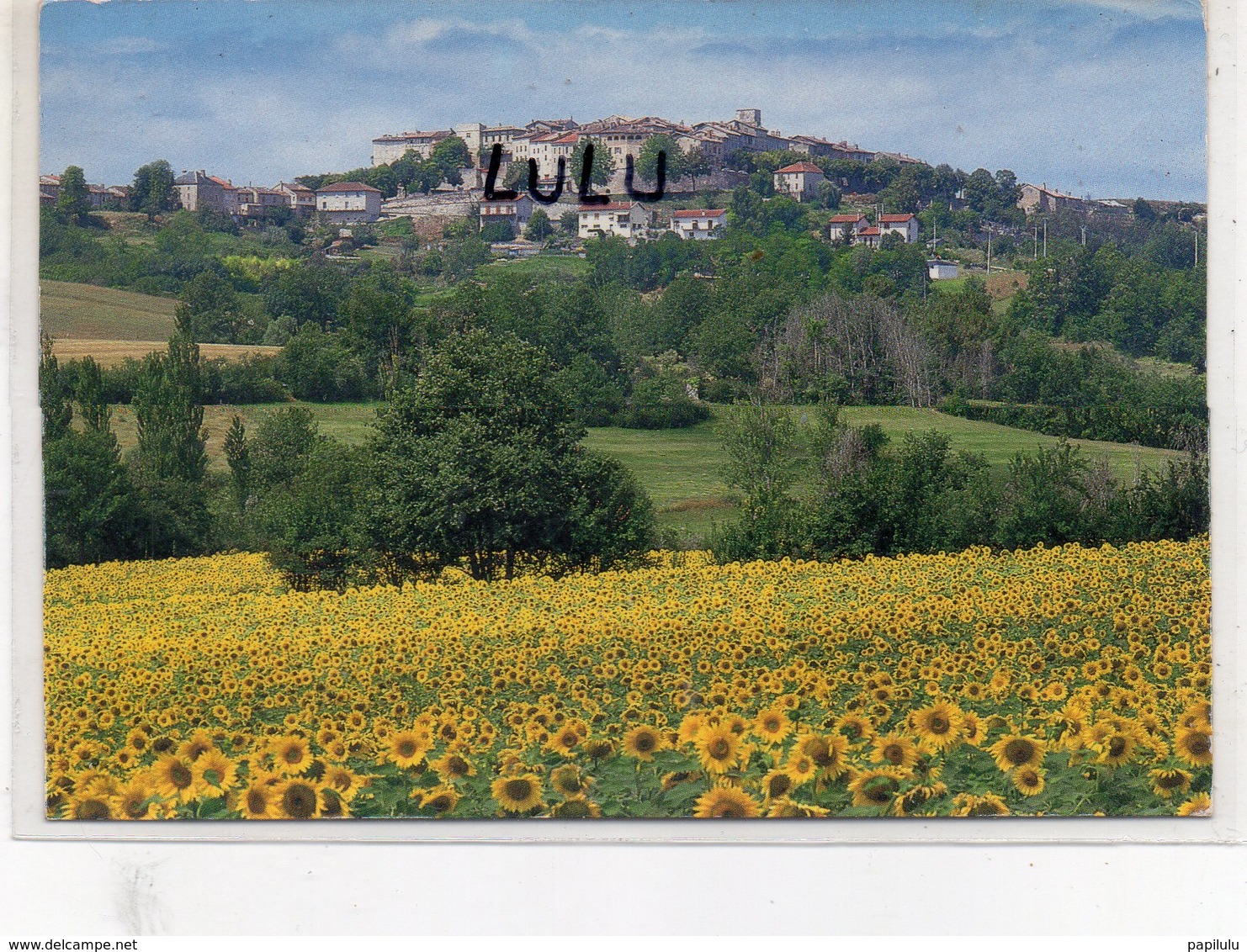 DEPT 81 : édit. Cabot : Castelnau De Montmirail Vue Générale - Castelnau De Montmirail