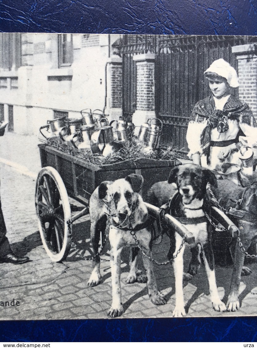 " Laitière Flamande Reçoit Une Contravention--attelage De Chiens "(2198)--cpa Pub - Artisanat