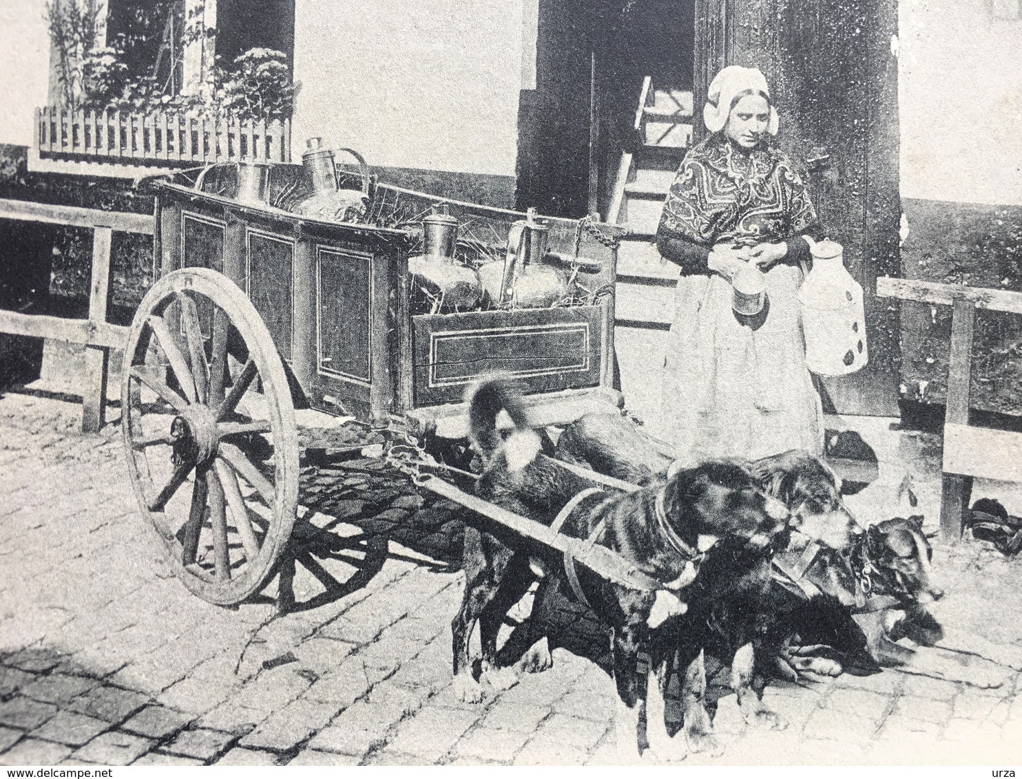 Bruxelles-"Laitière Flamande Et Son Attelage De Chiens Au Repos "(2216) - Craft