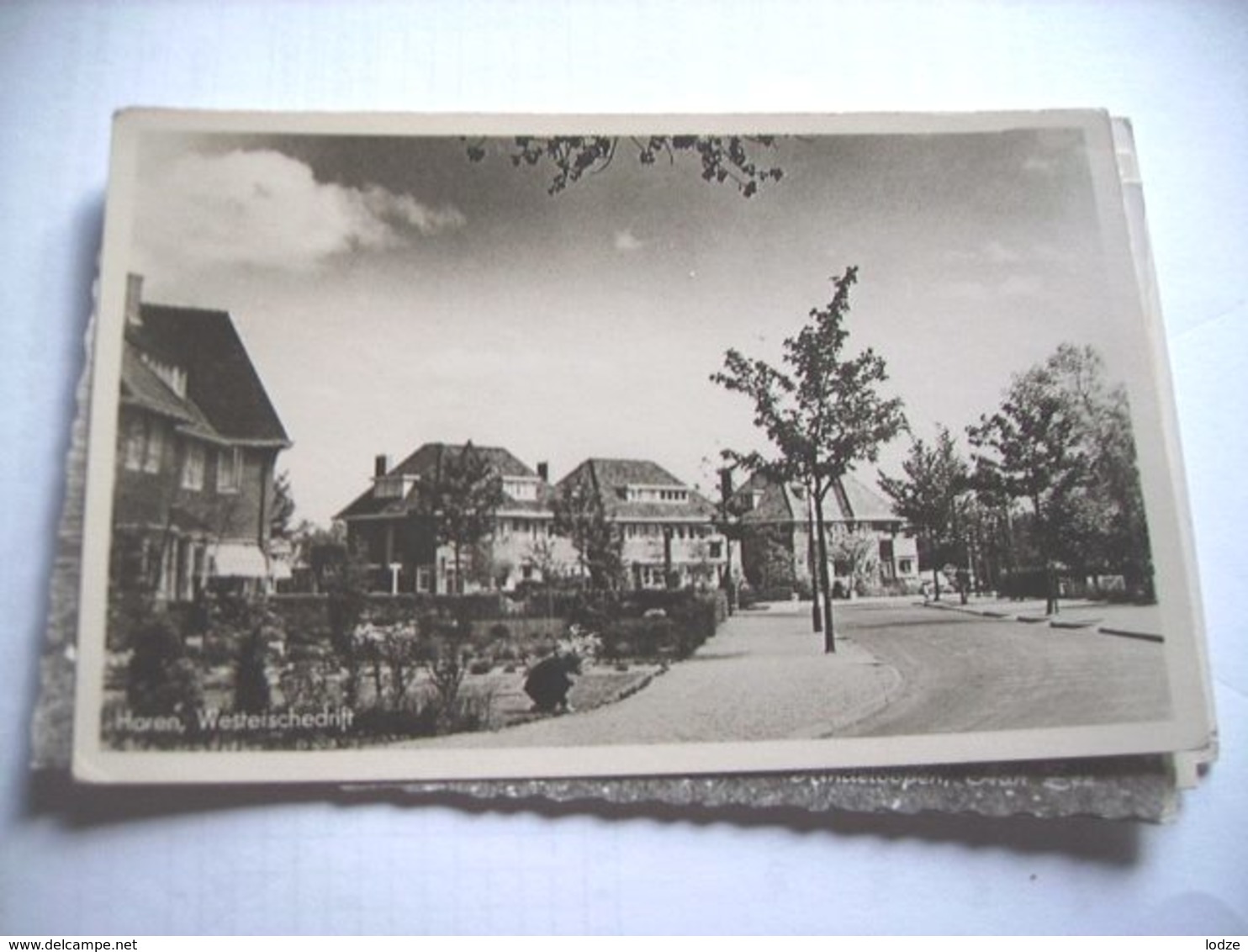 Nederland Holland Pays Bas Haren Bij Groningen Met Westerschedrift - Haren