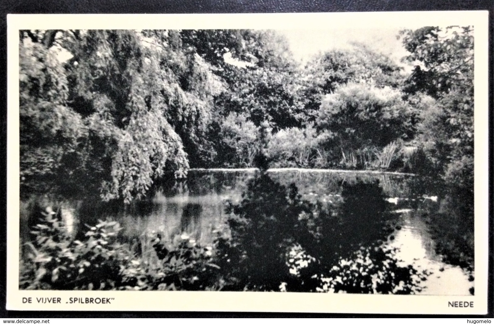 Netherlands, Uncirculated Postcard, "Nature", "Landscapes", "Neede" - Neede