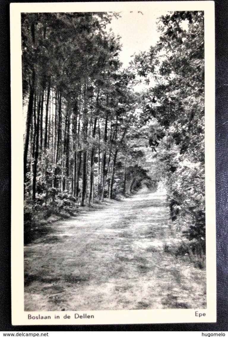 Netherlands, Uncirculated Postcard, "Nature", "Landscapes", "Epe" - Epe