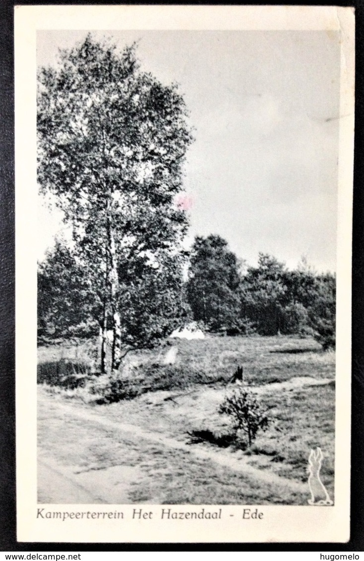 Netherlands, Circulated Postcard, "Nature", "Landscapes", "Ede", 1951 - Ede