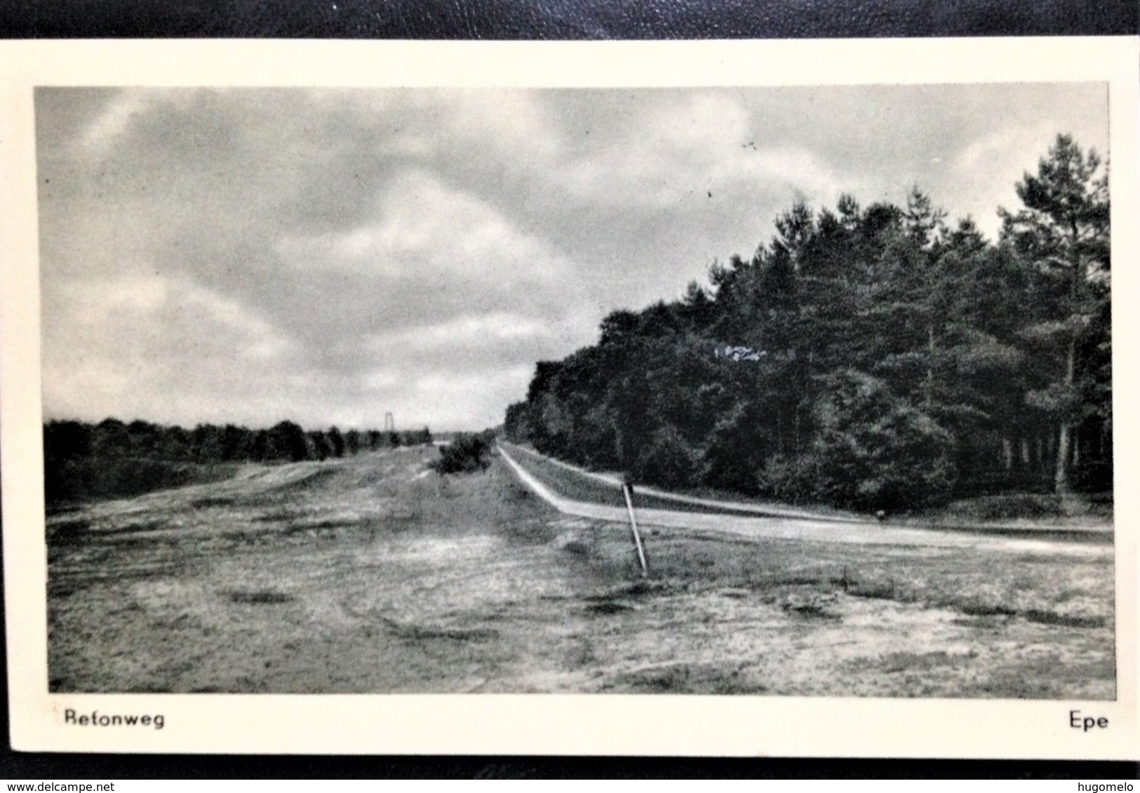 Netherlands, Uncirculated Postcard, "Nature", "Landscapes", "Epe" - Epe