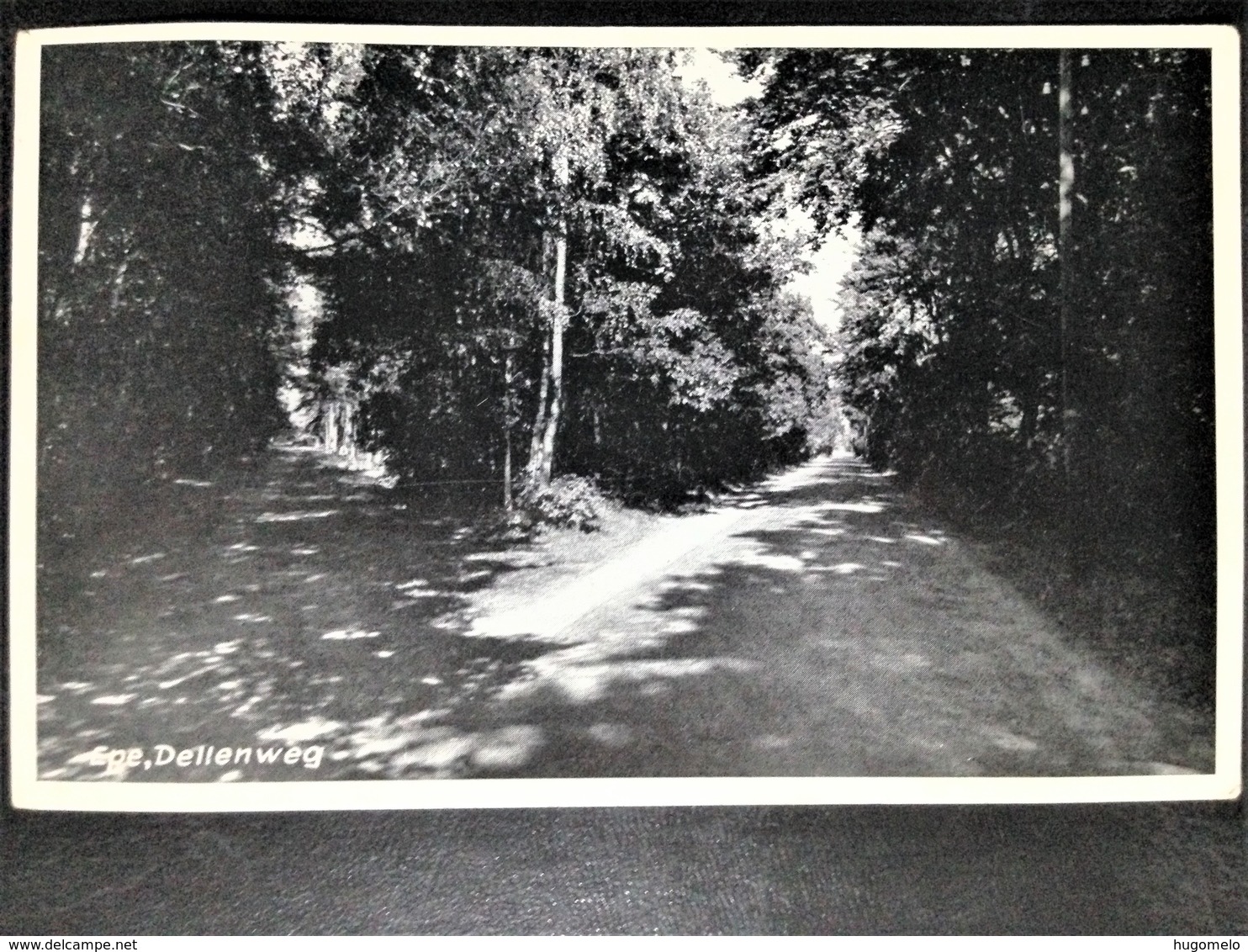 Netherlands, Uncirculated Postcard, "Nature", "Landscapes", "Epe" - Epe