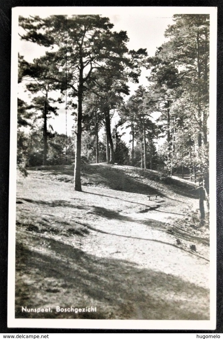 Netherlands, Uncirculated Postcard, "Nature", "Landscapes", "Nunspeet" - Nunspeet