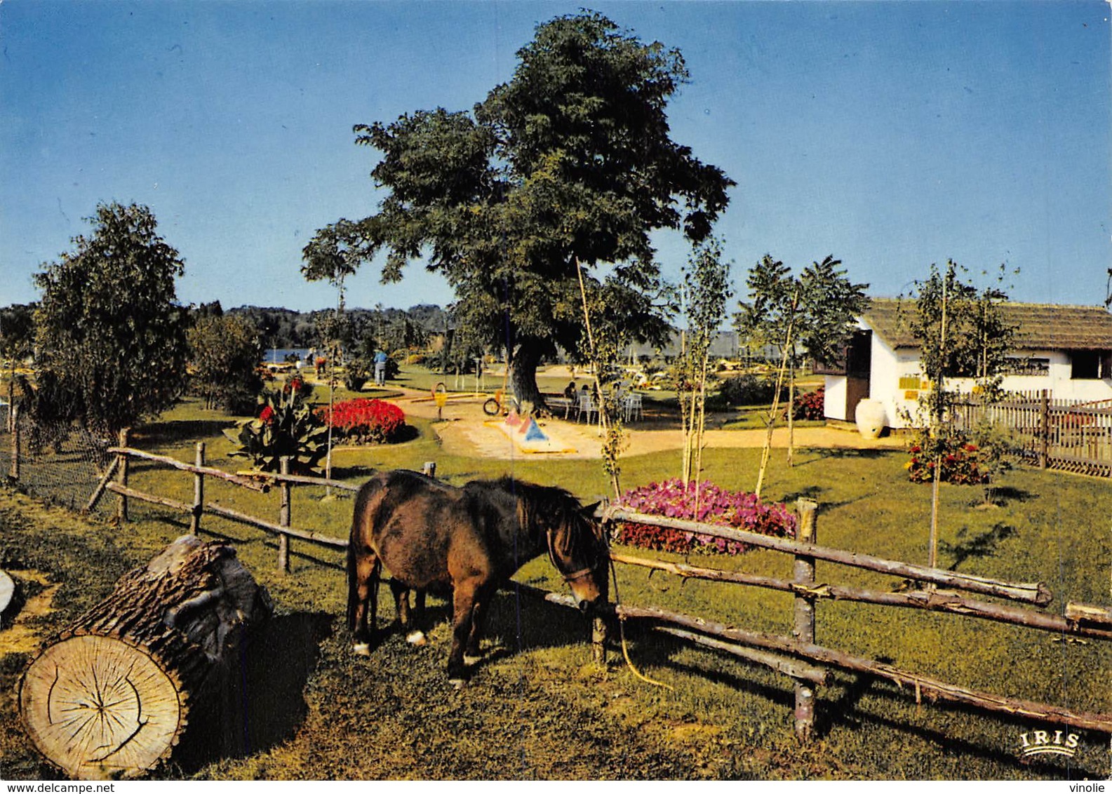 M-20-647 : VINEUIL. LE LAC DE LOIRE PRES BLOIS. LE GOLF MINIATURE ET LE PONEY CLUB - Autres & Non Classés