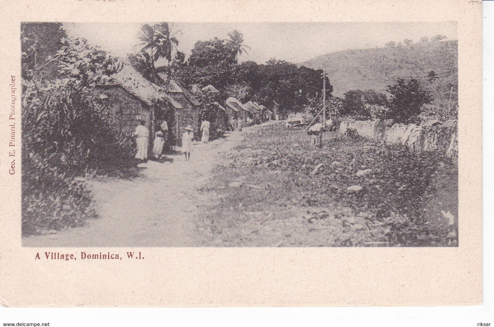 DOMINIQUE - Dominica