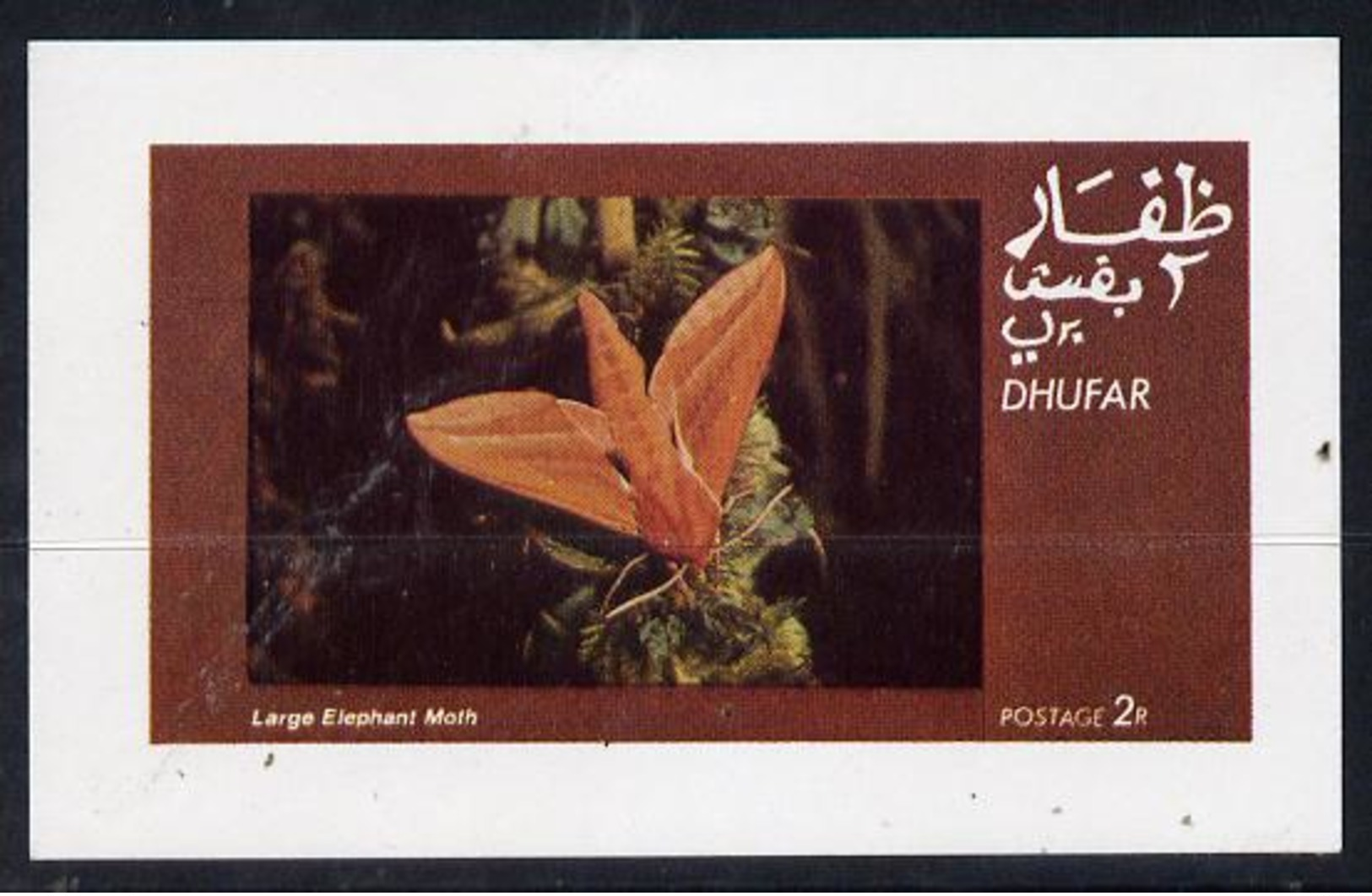 DHUFAR - Break-Away State - 1974 - Moths, Large Elephant Moth - Souv Sheet - Mint Never Hinged - Autres - Asie