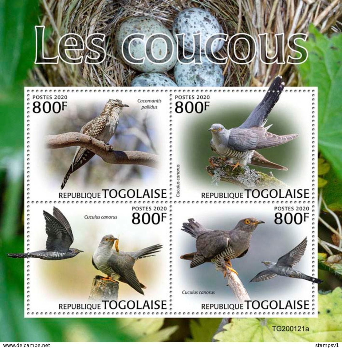 Togo. 2020 Cuckoos. (0121a)  OFFICIAL ISSUE - Cuckoos & Turacos