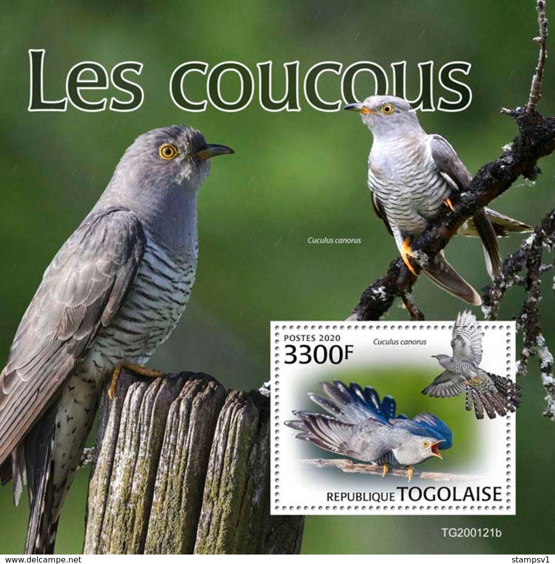 Togo. 2020 Cuckoos. (0121b)  OFFICIAL ISSUE - Cuco, Cuclillos