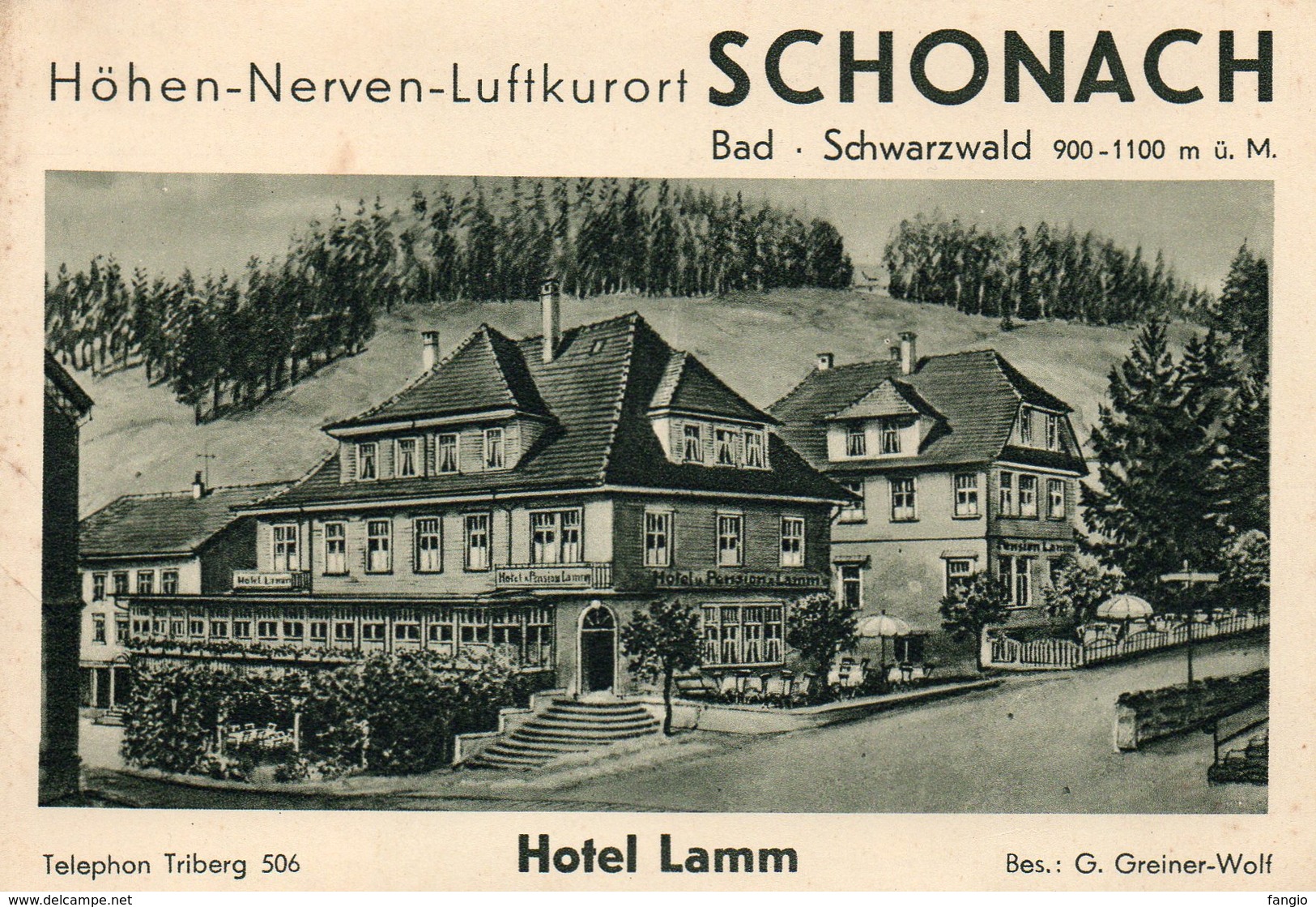 SCHONACH -- "Bad . Shwarzwald" - édit: G. Greiner-Wolf. - Tourism Brochures