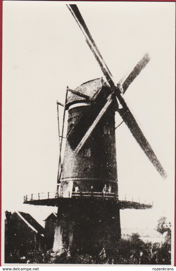 Niel Aan De Rupel Windmolen Molen Moulin  (fotografische Reproductie Van Veel Oudere Foto - Oude Foto Jaren '70) - Niel