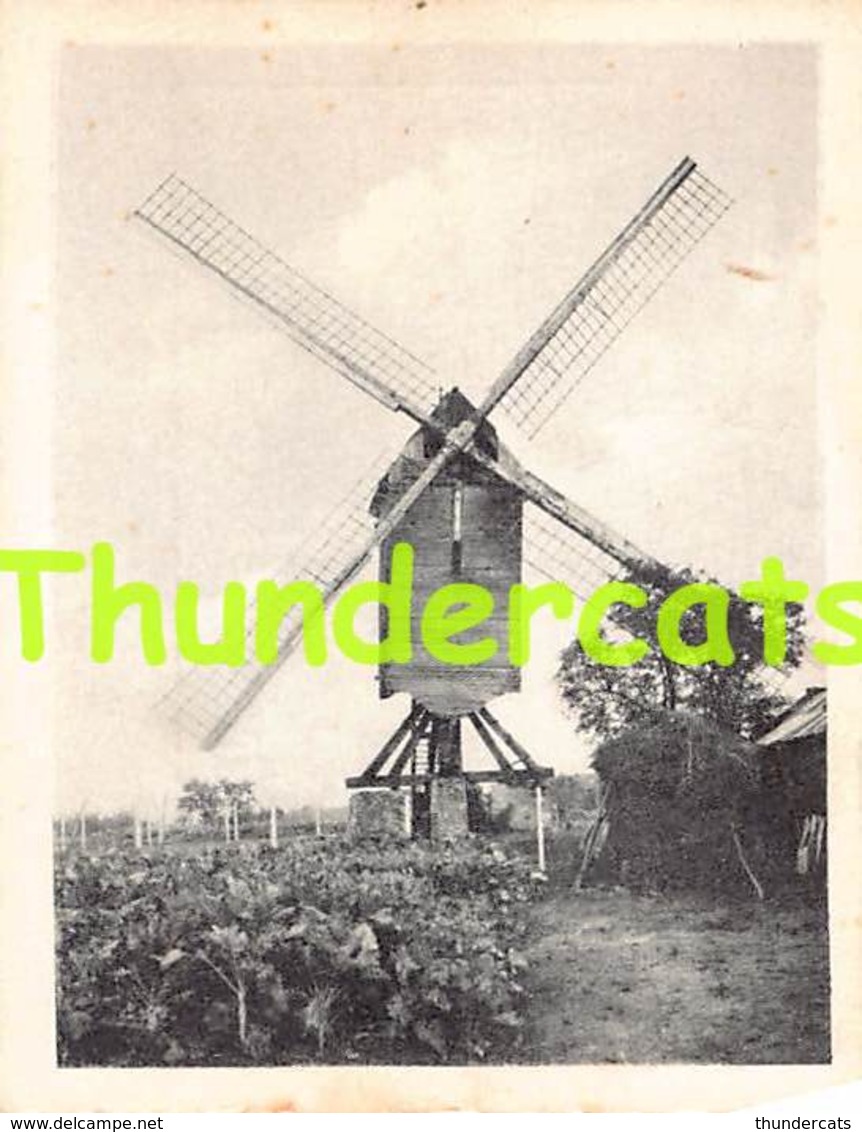 CHROMO HERENTHOUT DE MOLEN MOULIN 9 X 7 - Herenthout