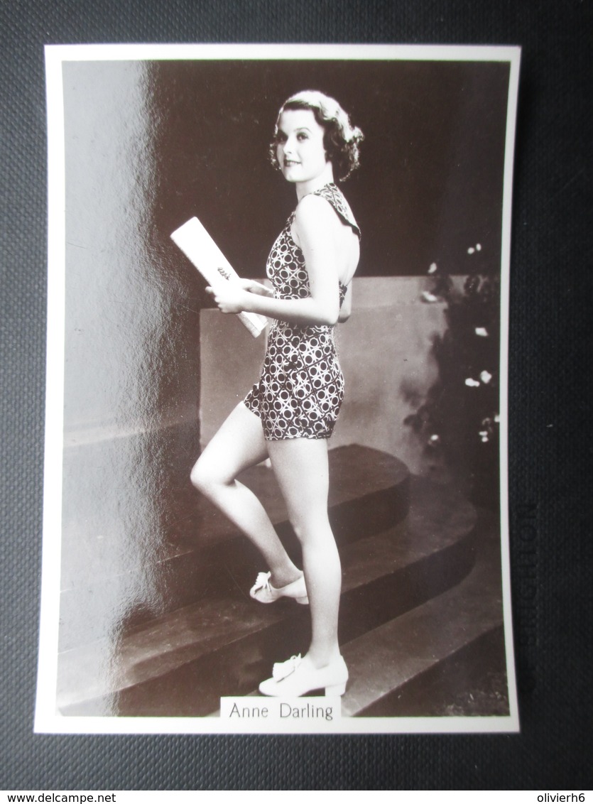 REAL PHOTO - PIN UP (V2004) ANNE DARLING (2 Vues) N°03 BEAUTIES OF TO-DAY Third Series - Phillips / BDV