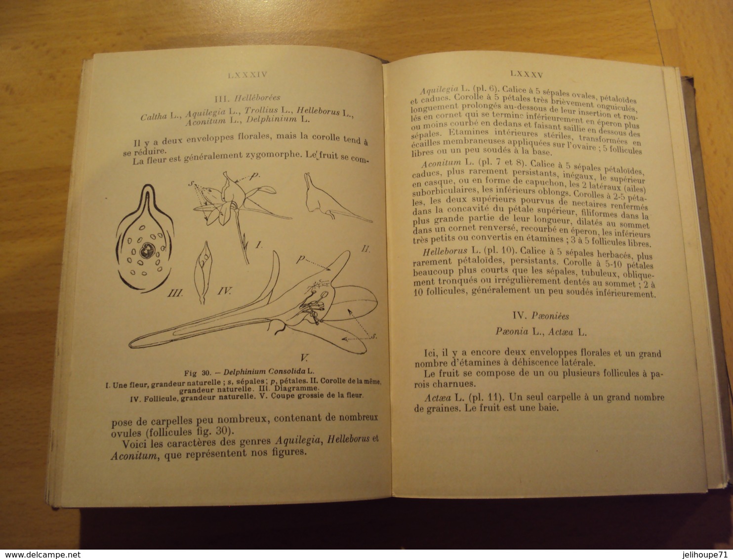 Encyclopédie Pratique Du Naturaliste - Les Fleurs Des Bois - TOME II 1936 - Encyclopédies