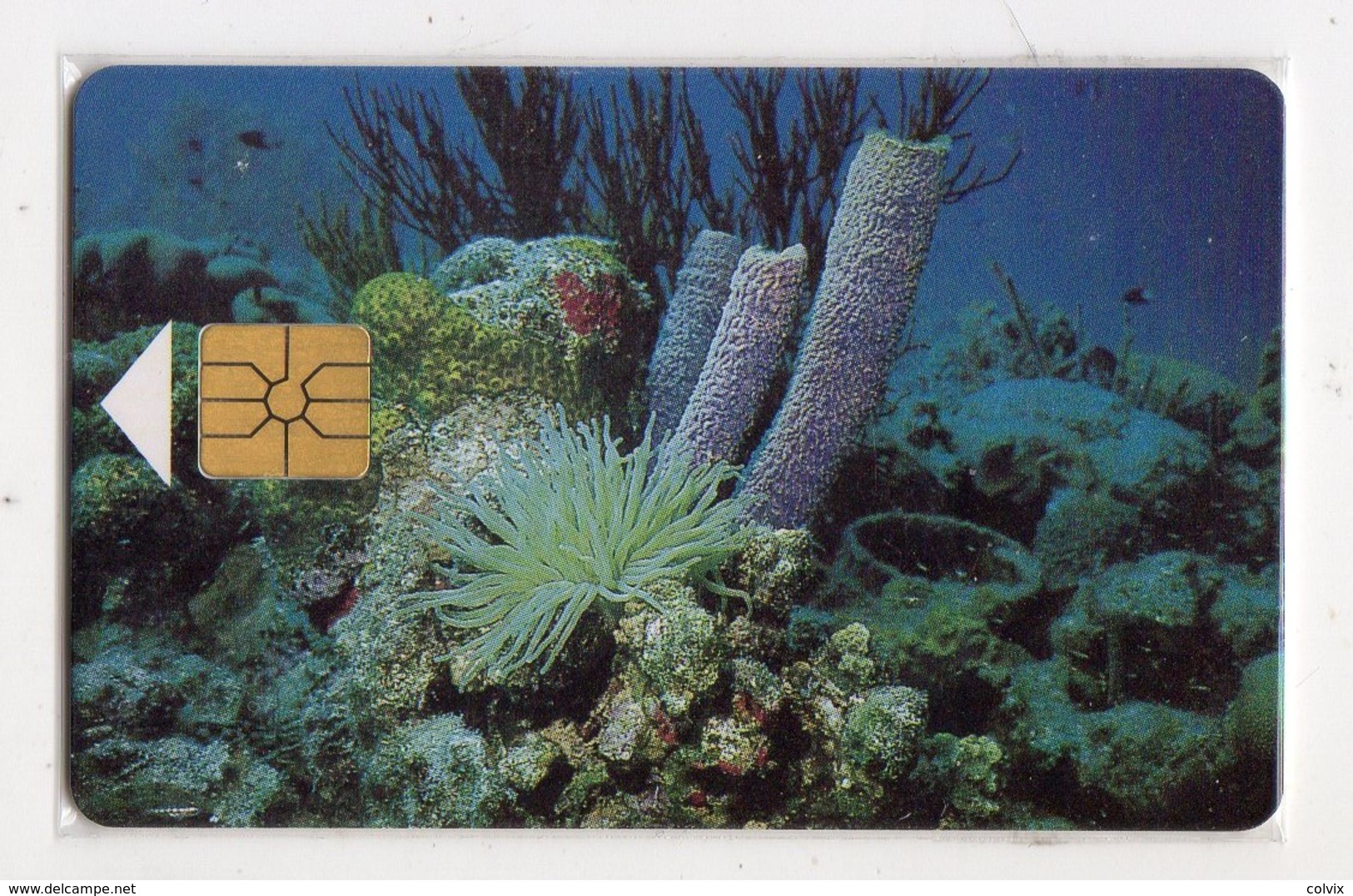 ANTILLES NEERLANDAISES BONNAIRE REF MV CARDS BON-11 60U Année 1997 Corail - Antilles (Netherlands)