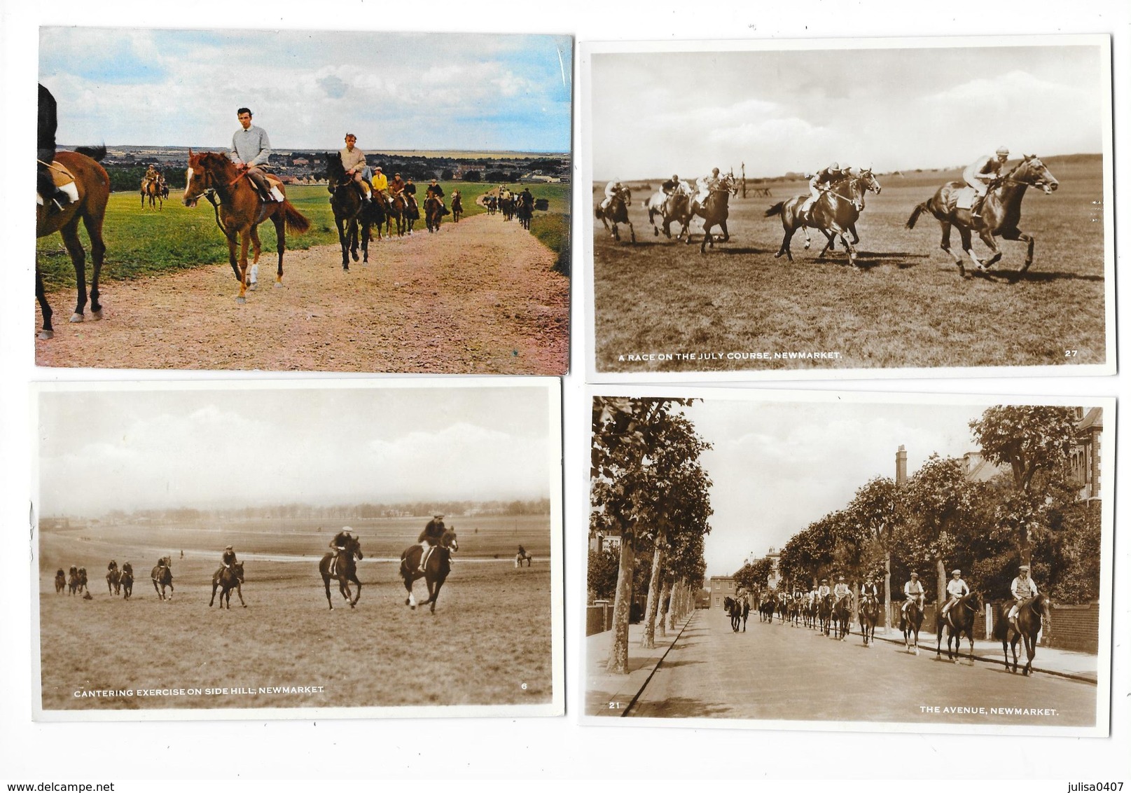 NEWMARKET (Angleterre ) Ensemble De 4 Cartes Champ De Courses Hippisme Animations - Otros & Sin Clasificación