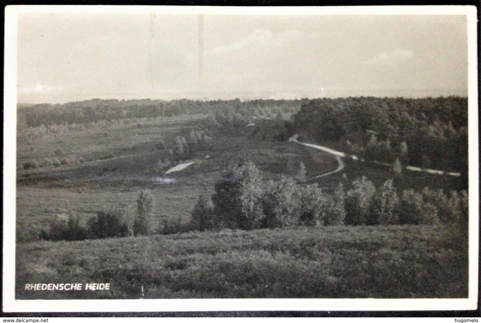 Netherlands, Uncirculated Postcard, "Nature", "Landscapes", "Rheden" - Rheden