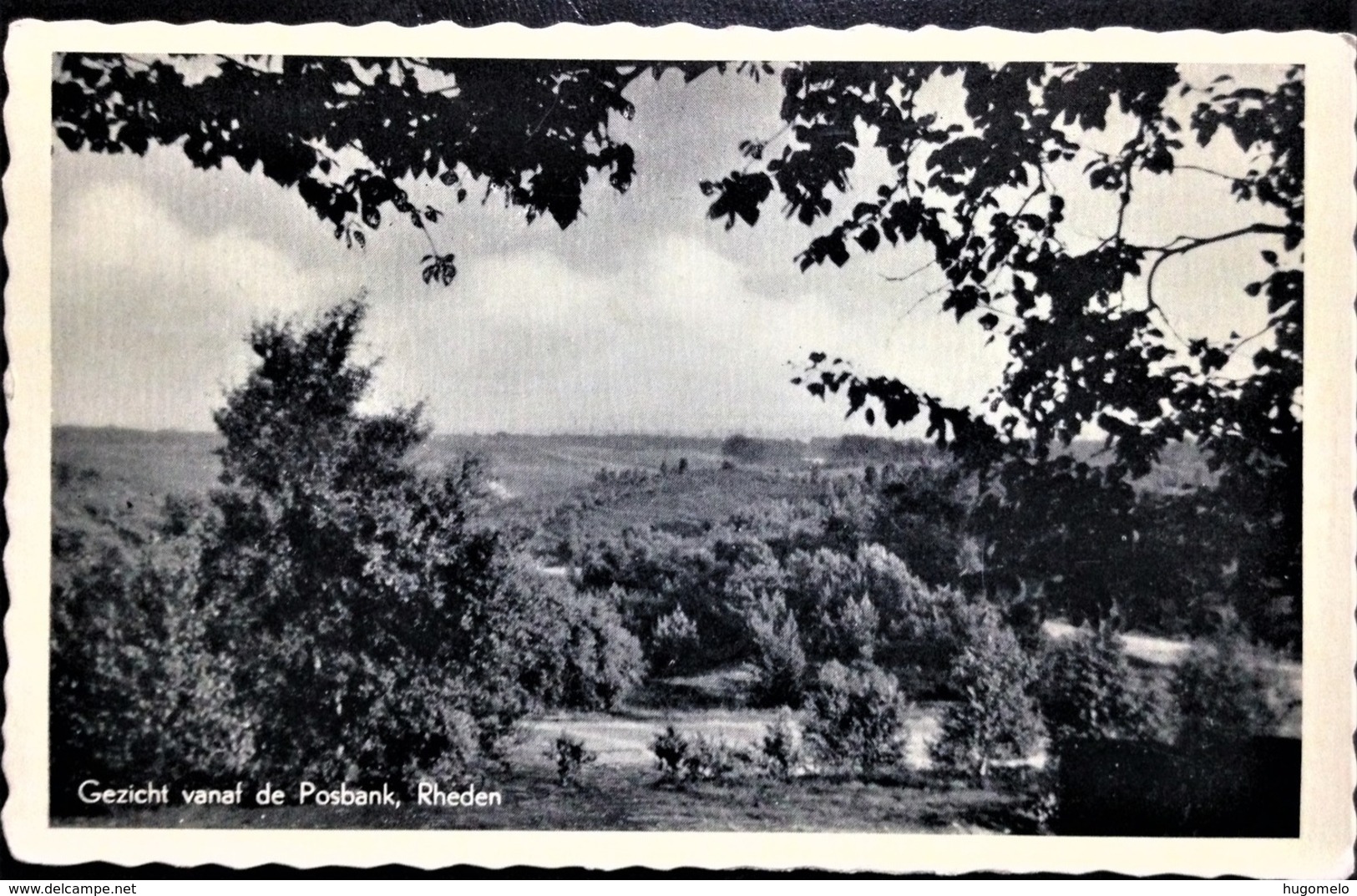 Netherlands, Circulated Postcard, "Nature", "Landscapes", "Rheden" - Rheden