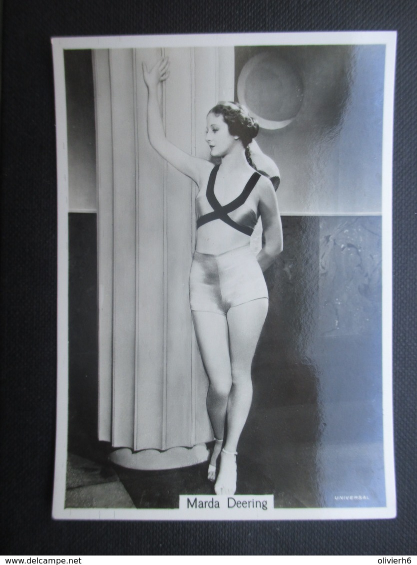 REAL PHOTO - PIN UP (V2004) MARDA DEERING (2 Vues) N°13 BEAUTIES OF TO-DAY - Phillips / BDV