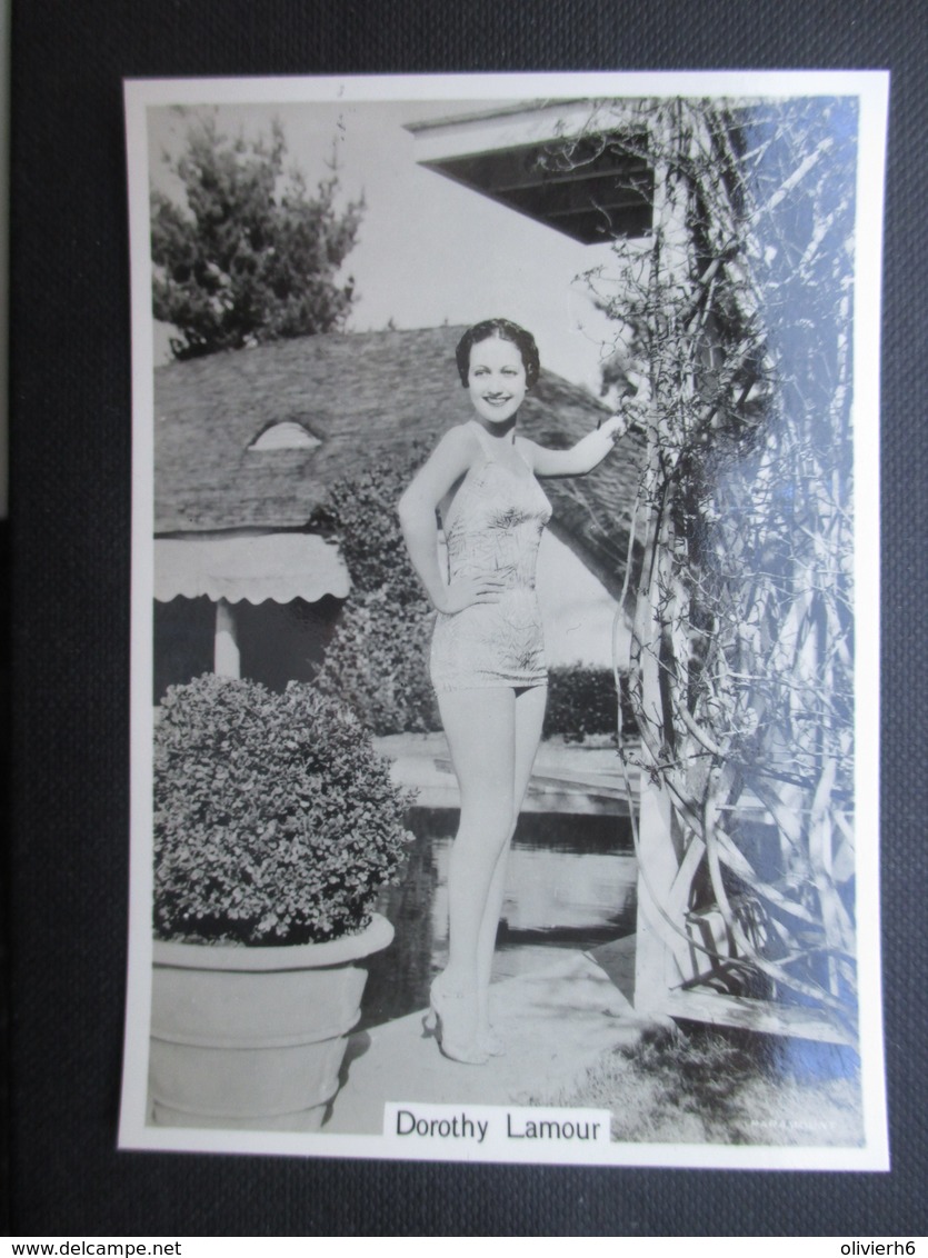 REAL PHOTO - PIN UP (V2004) DOROTHY LAMOUR (2 Vues) N°18 BEAUTIES OF TO-DAY - Phillips / BDV