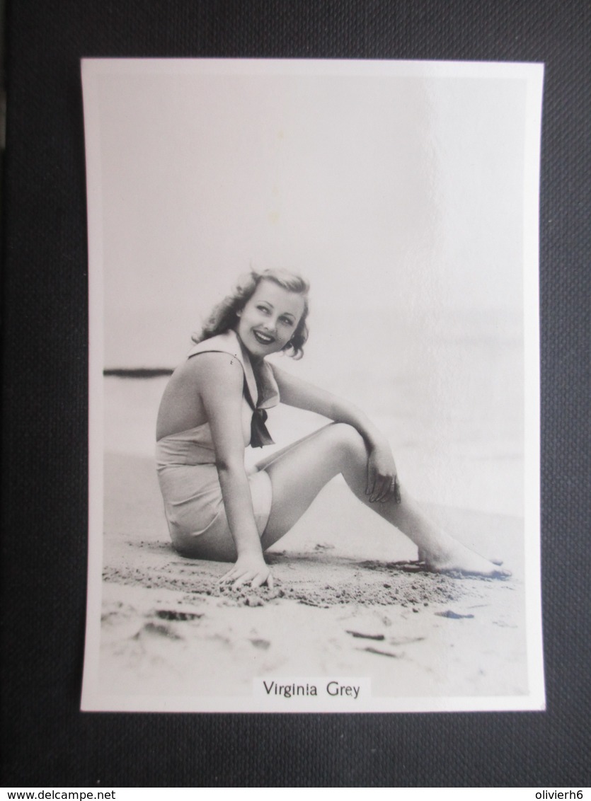 REAL PHOTO - PIN UP (V2004) VIRGINIA GREY (2 Vues) N°22 BEAUTIES OF TO-DAY - Phillips / BDV