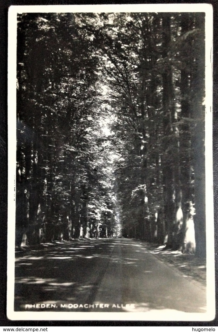 Netherlands, Uncirculated Postcard, "Nature", "Landscapes", "Rheden" - Rheden