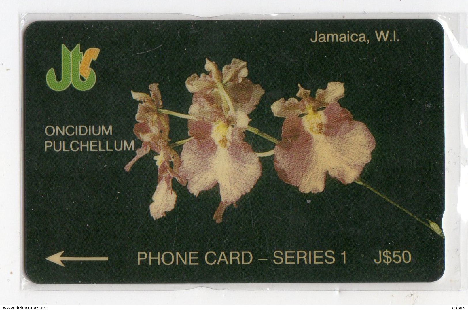 JAMAIQUE  TELECARTE REF MV CARD JAM-6E J$50 CN 6JAME DATE 1991 - Jamaica