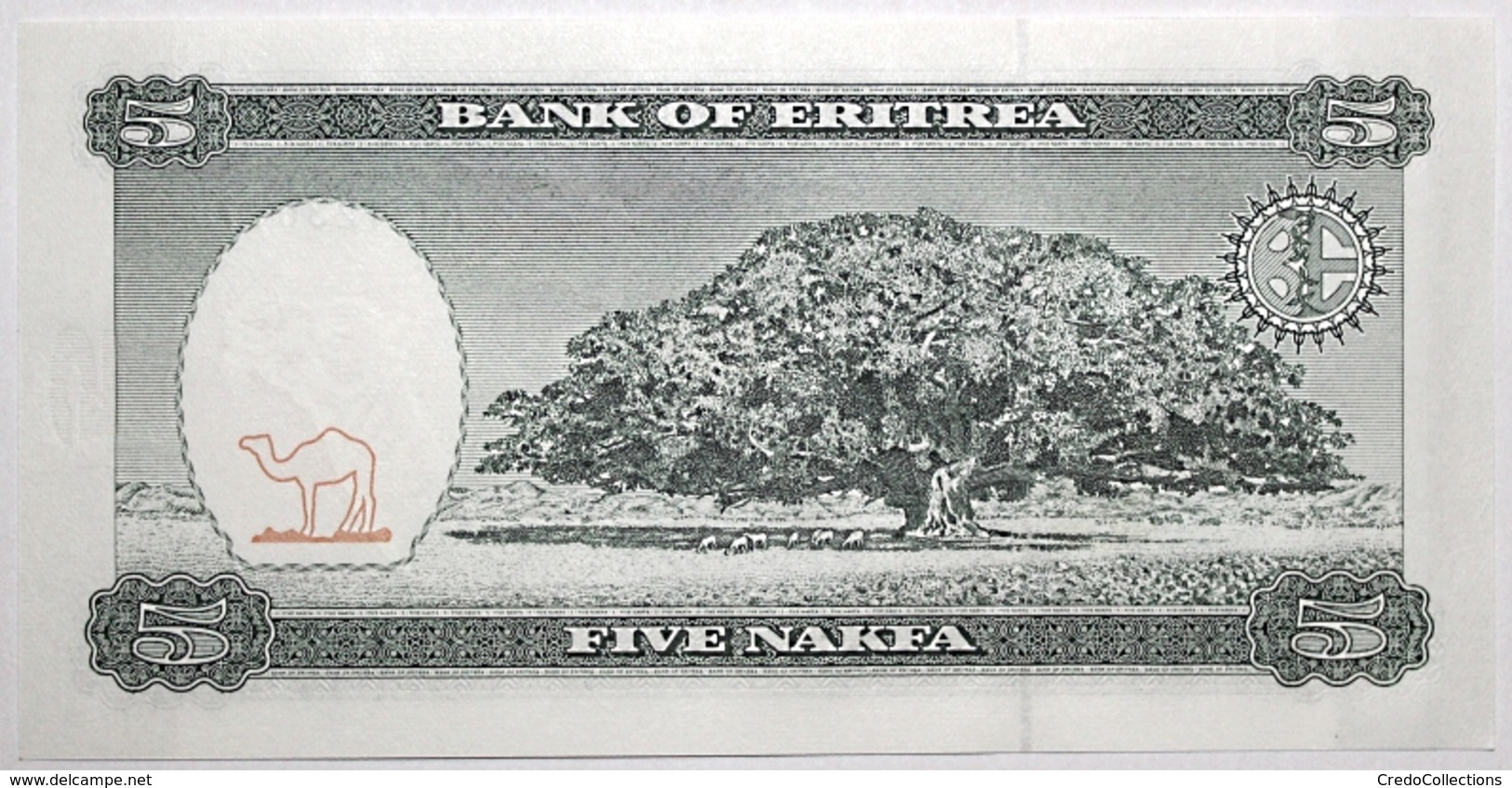 Érythrée - 5 Nafka - 1997 - PICK 2 - NEUF - Eritrea