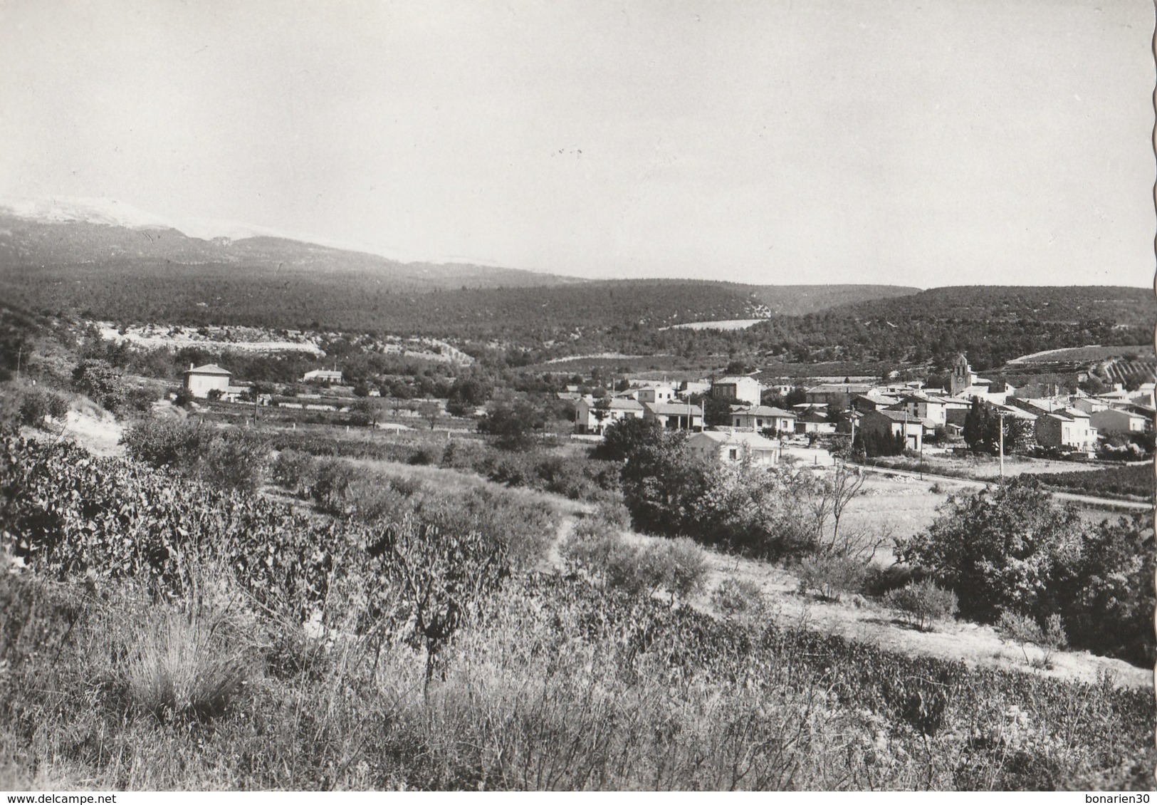 CPSM 84   FLASSAN JOLIE VUE GENERALE ET LE MONT VENTOUX - Autres & Non Classés