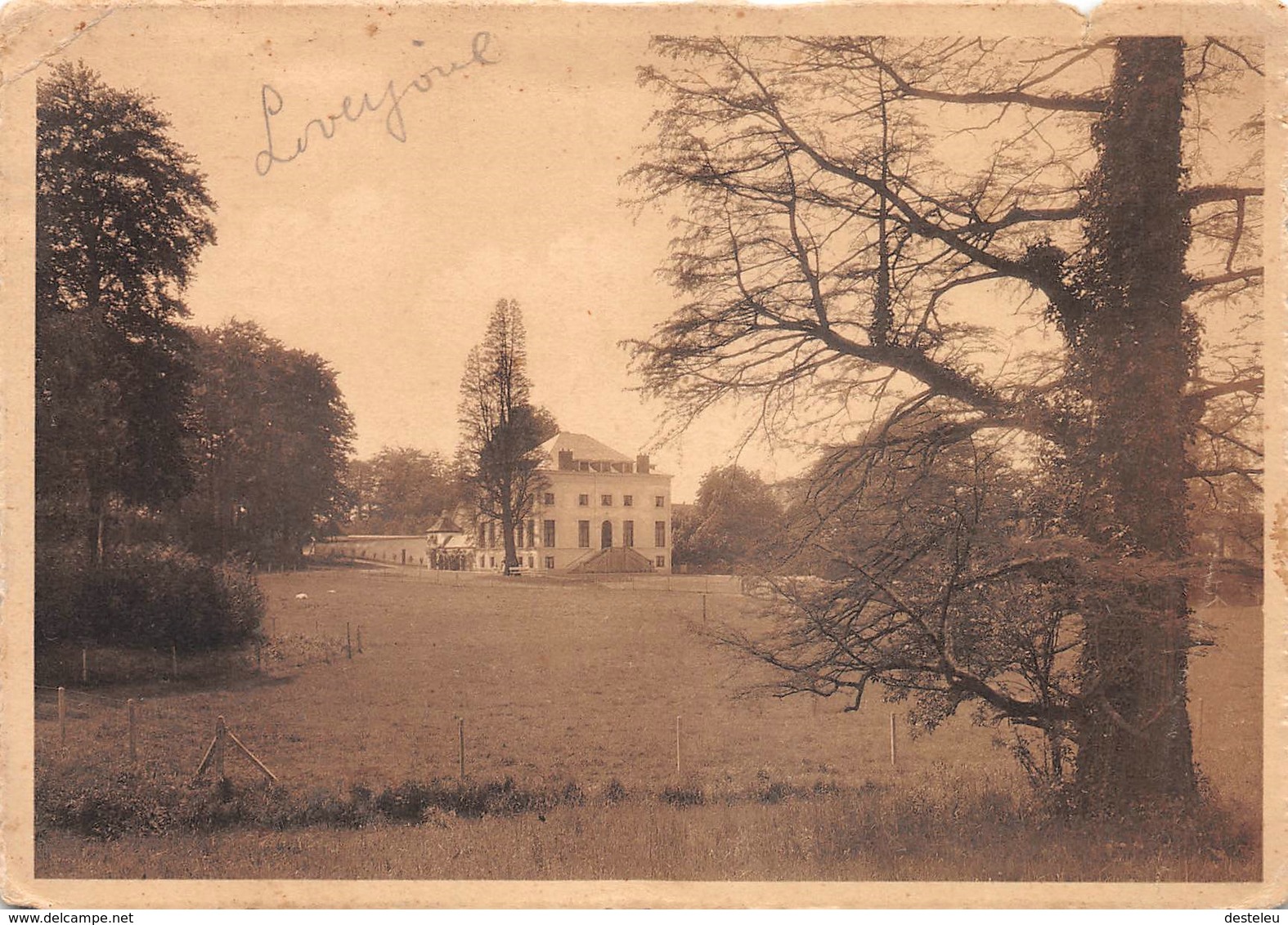 Salve Mater - Le Château - Lovenjoel - Bierbeek