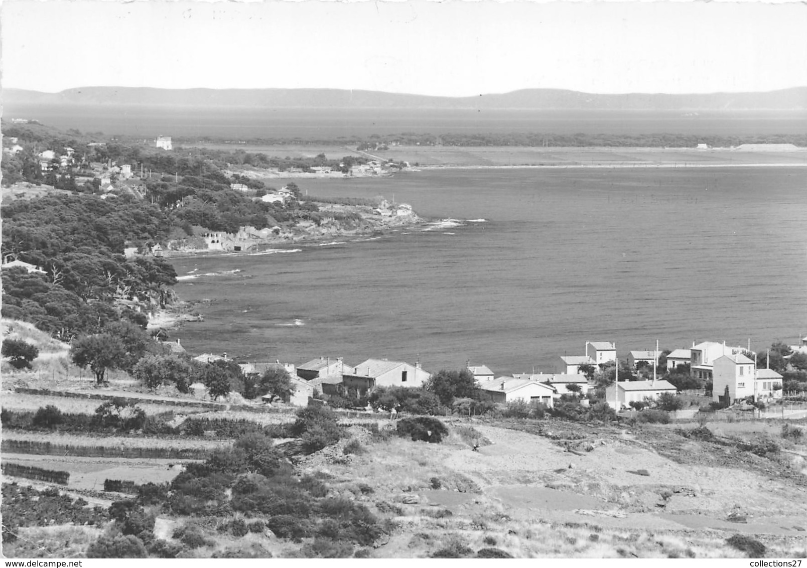 83-CARQUEIRANNE- LES SALETTES, LES PINS PENCHES , AU FOND LES ILES D'HYERES - Carqueiranne