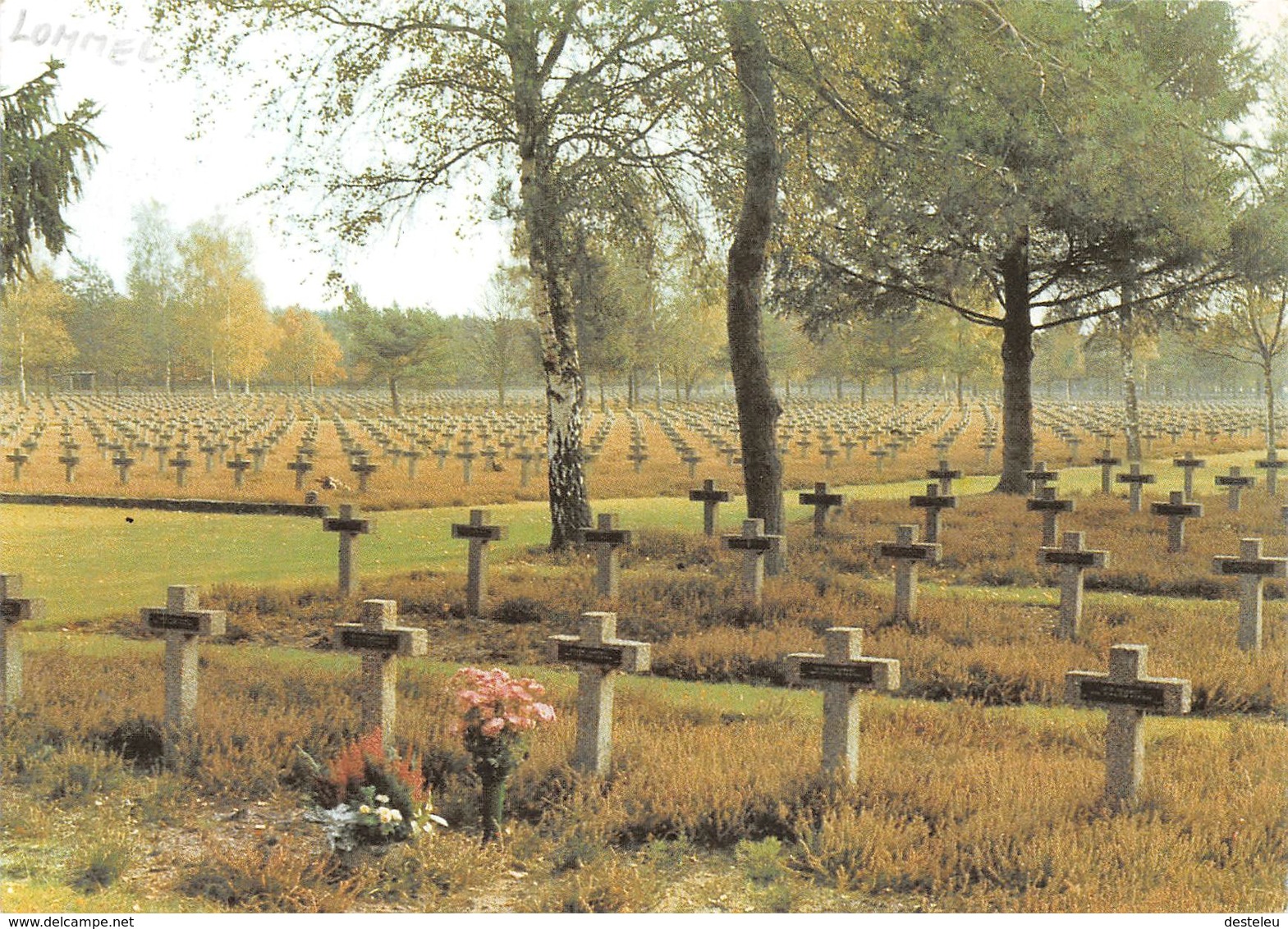 Deutscher Soldatenfriedhof - Lommel - Lommel