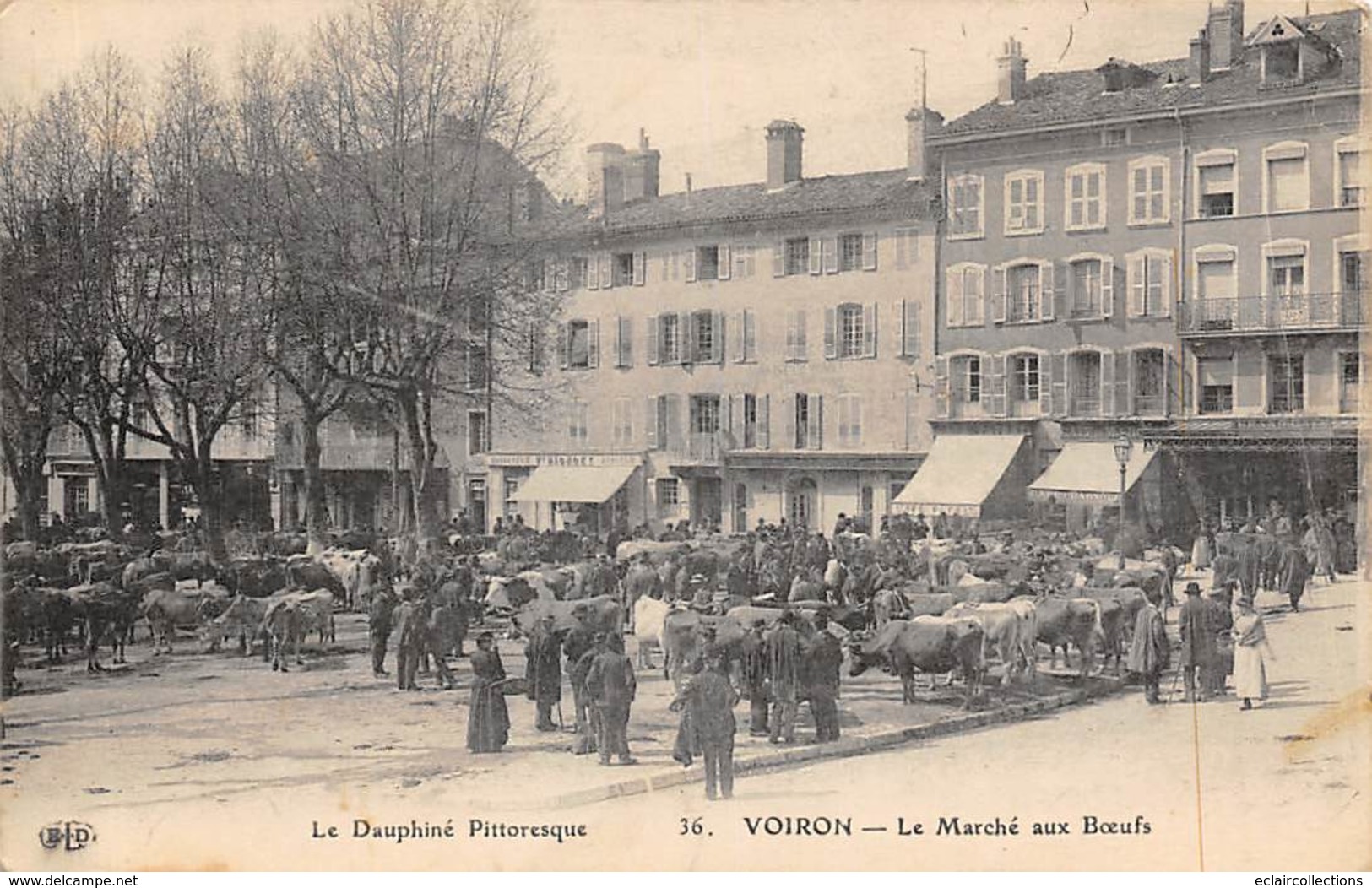 Voiron     38     Le Marché  Aux Bœufs     (Voir Scan) - Voiron