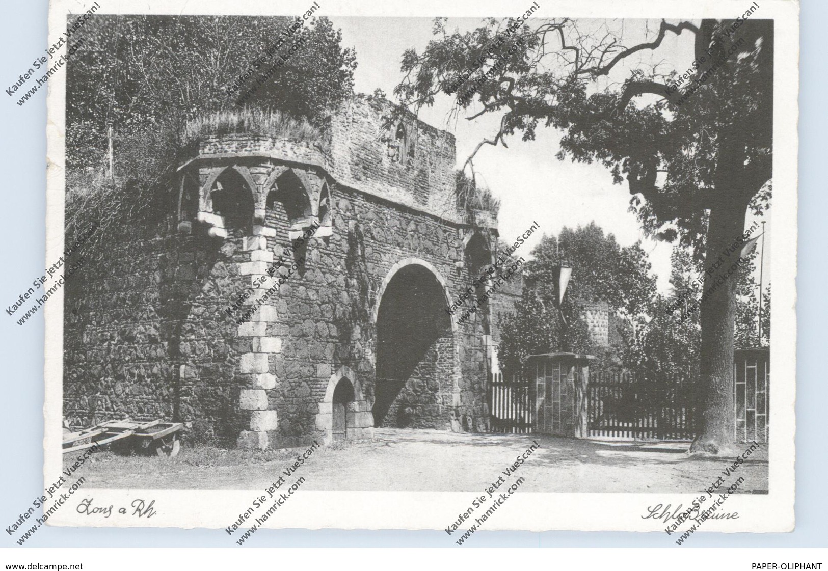 4047 DORMAGEN - ZONS, Schlossruine, 1955 - Dormagen