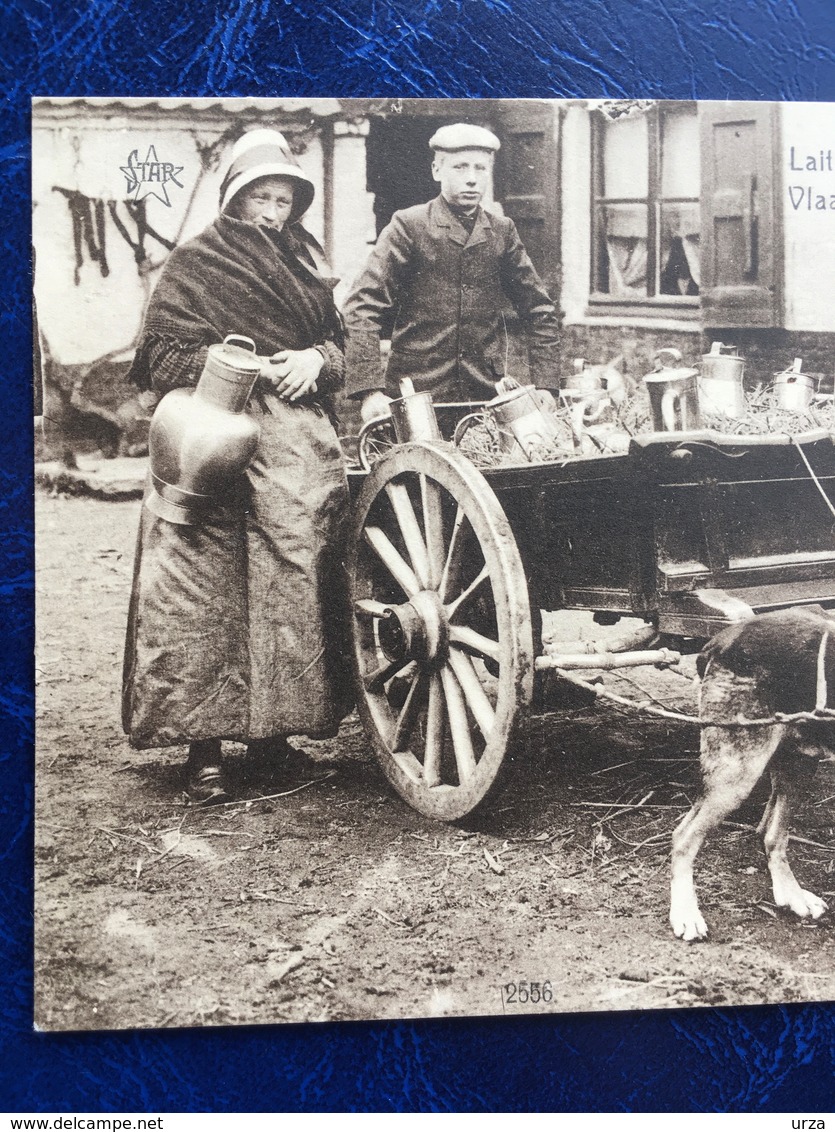 "Laitière Flamande Avec Attelage De Chien-Vlaamsche Melkboerin "(2223) - Craft