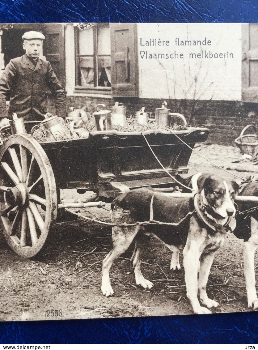 "Laitière Flamande Avec Attelage De Chien-Vlaamsche Melkboerin "(2223) - Artisanat