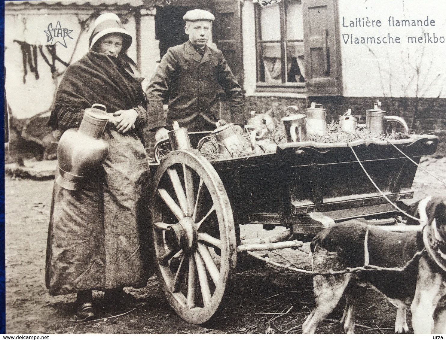 "Laitière Flamande Avec Attelage De Chien-Vlaamsche Melkboerin "(2223) - Artisanat