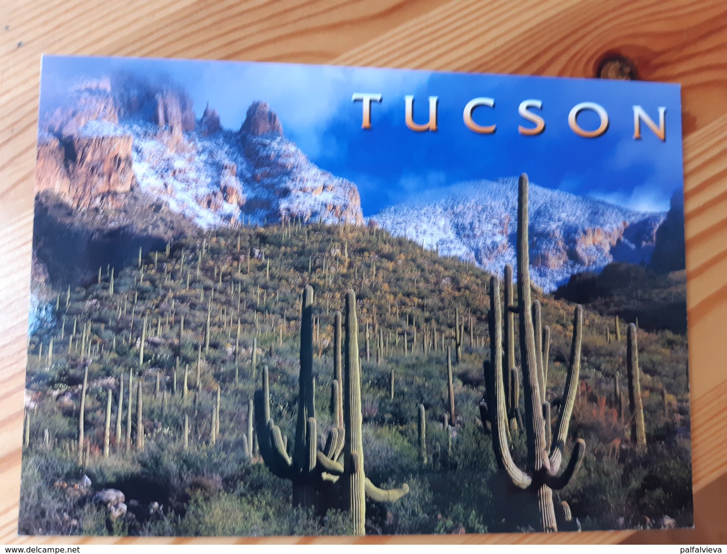 Postcard, USA - Tucson, Arizona, Mint - Tucson