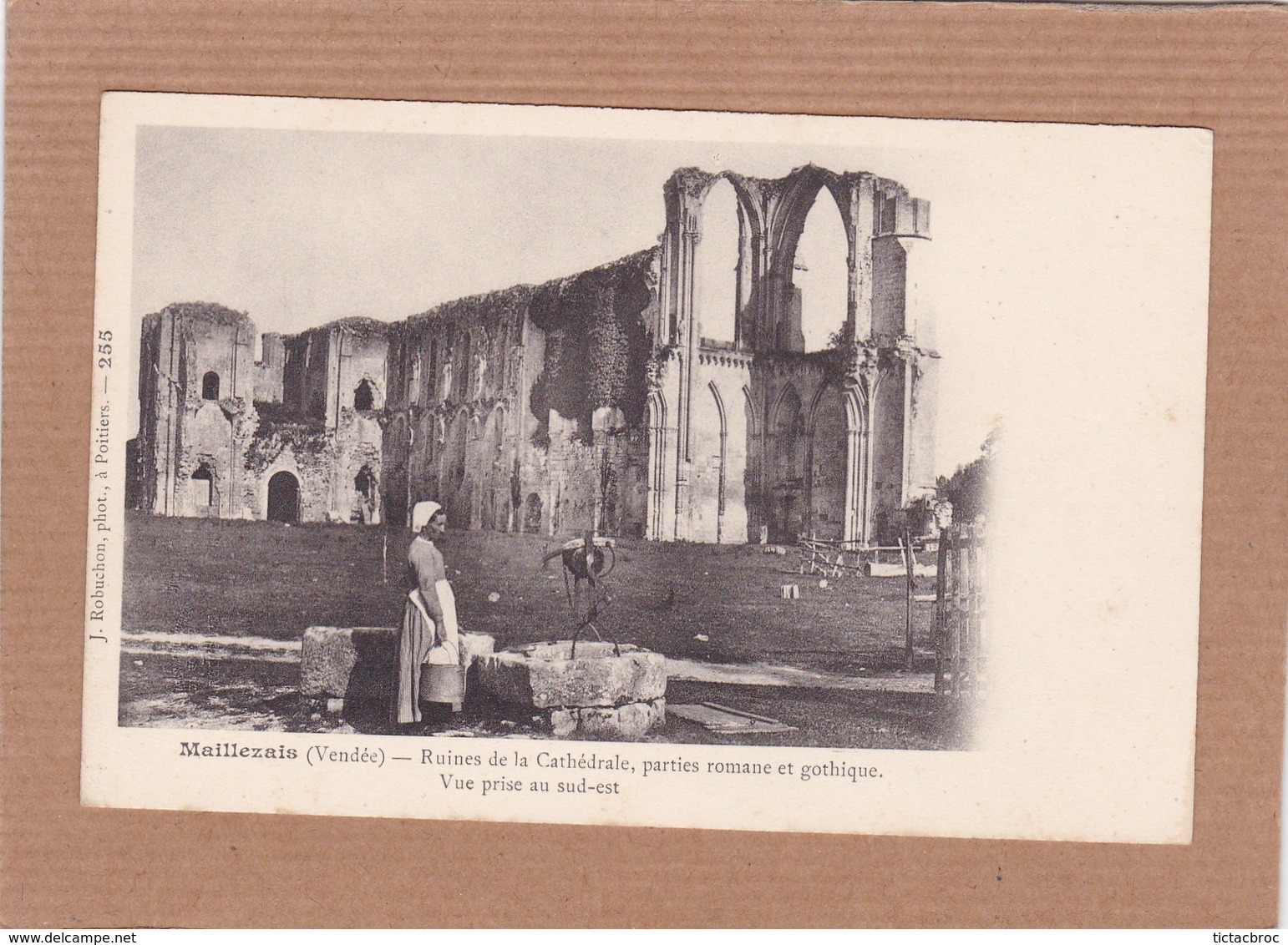 CPA 85 Maillezais Ruines De La Cathédrale Parties Romane Et Gothique Vue Prise Au Sud-est - Maillezais