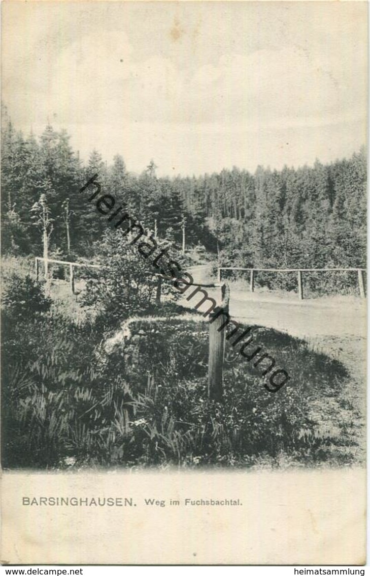 Barsinghausen - Weg Im Fuchsbachtal - Verlag August Brandes Barsinghausen - Gel. 1909 - Barsinghausen