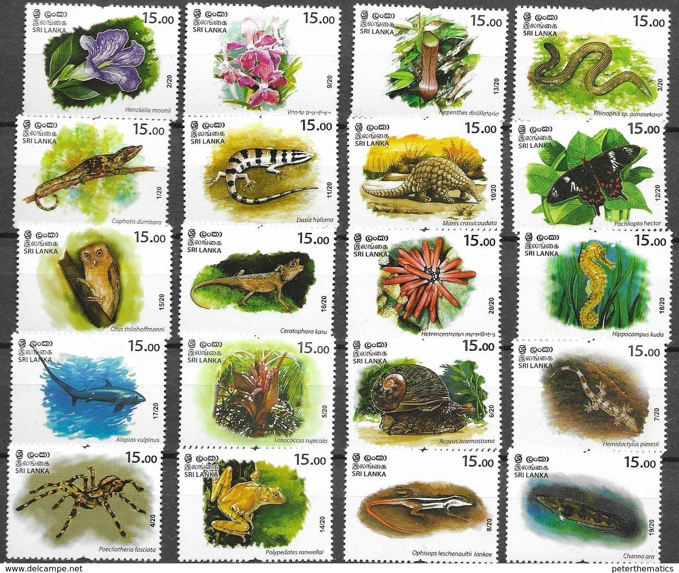 SRI LANKA, 2020, MNH, ENDANGERED SPECIES , BUTTERFLIES,SPDIERS,  REPTILES, FROGS, SHARKS, FISH, BIRDS, FLORA, 20v - Frogs