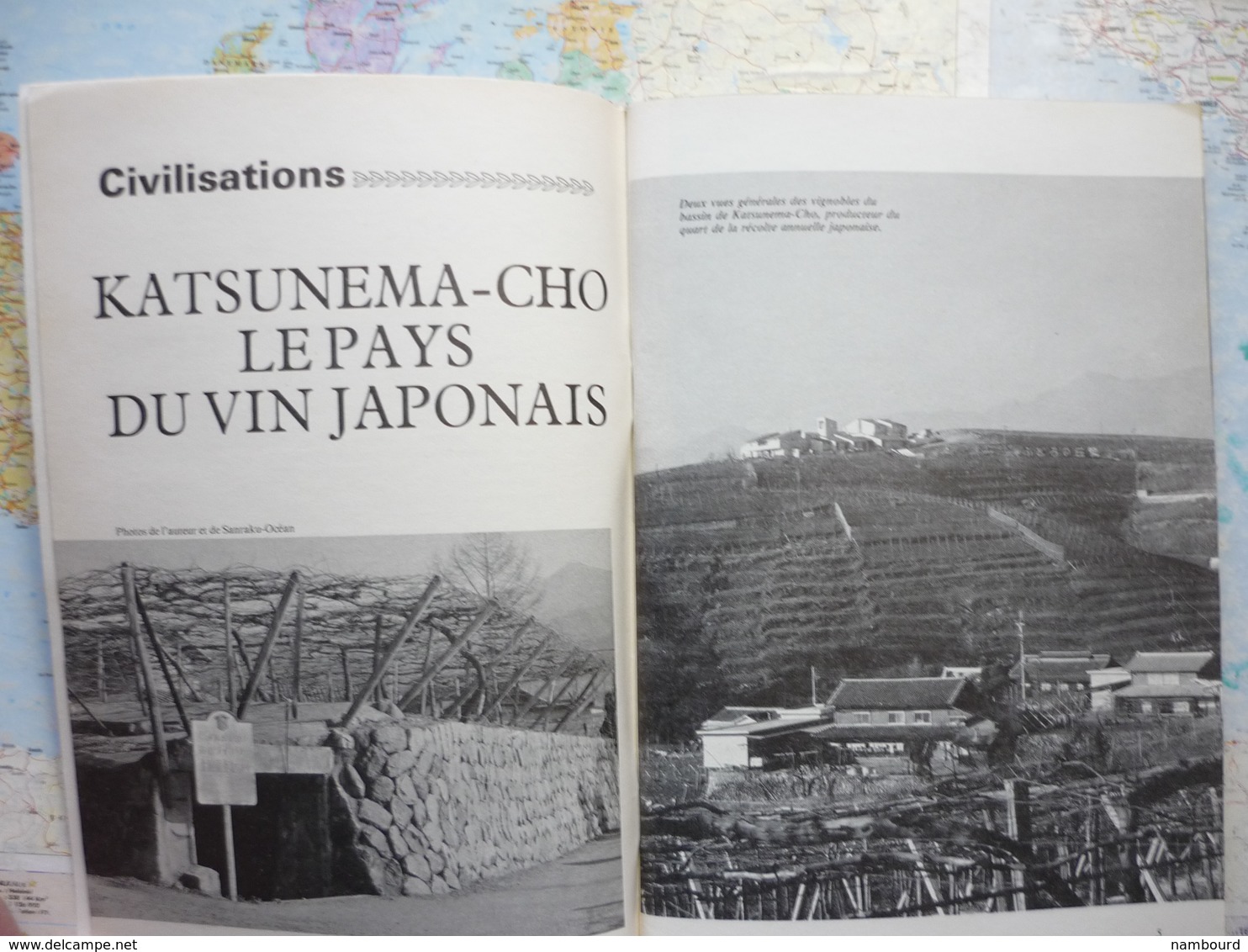 Geographia Tour Du Monde Iles Marquises / Vignes Japonaises / République Du Paraguay N°242 1979 - Géographie